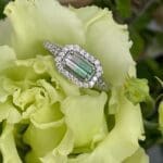 From the Geminar to the Jewelry Box - Watermelon Tourmaline Halo From the Geminar to the Jewelry Box - Watermelon Tourmaline Halo